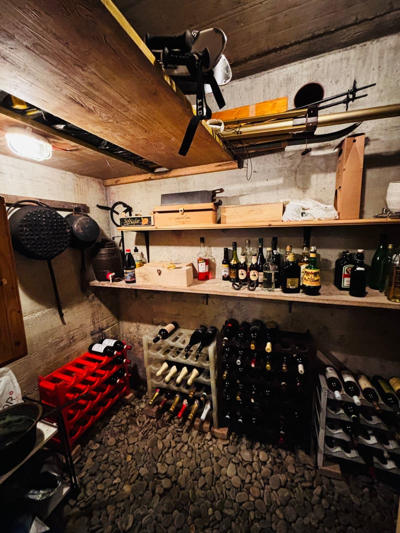 Casa unifamiliare di 6 locali aperta sui vigneti! (17)