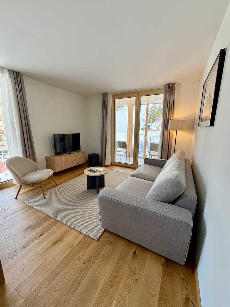 Gray sofa, wooden coffee table, chair, flat-screen TV, cabinet, rug, balcony, lamp