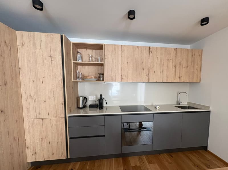 modern kitchen with wooden cabinets, granite countertop, stainless steel sink, black induction stove, built-in oven, kettle, and modern fixtures