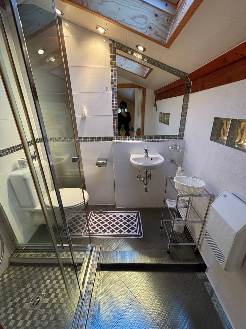 Bathroom with glass shower, toilet, sink, mirror, and a small shelf with a basket