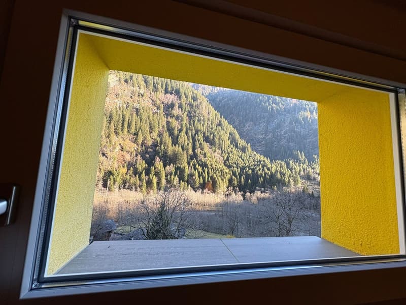 Window with a view of a mountain range with trees and a valley