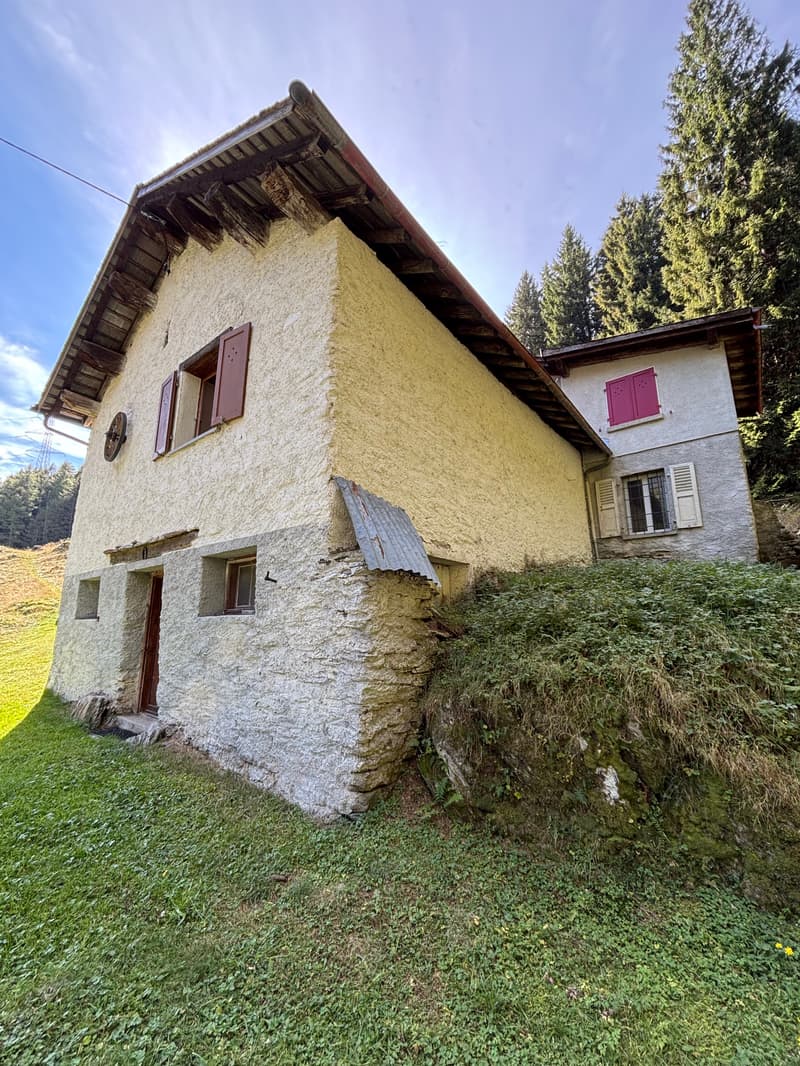 Cascina immersa nel verde a Pian San Giacomo (13)