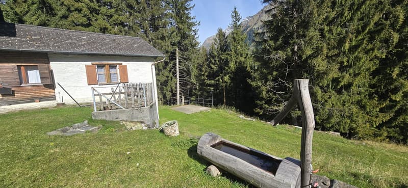 Cascina immersa nel verde a Pian San Giacomo (14)