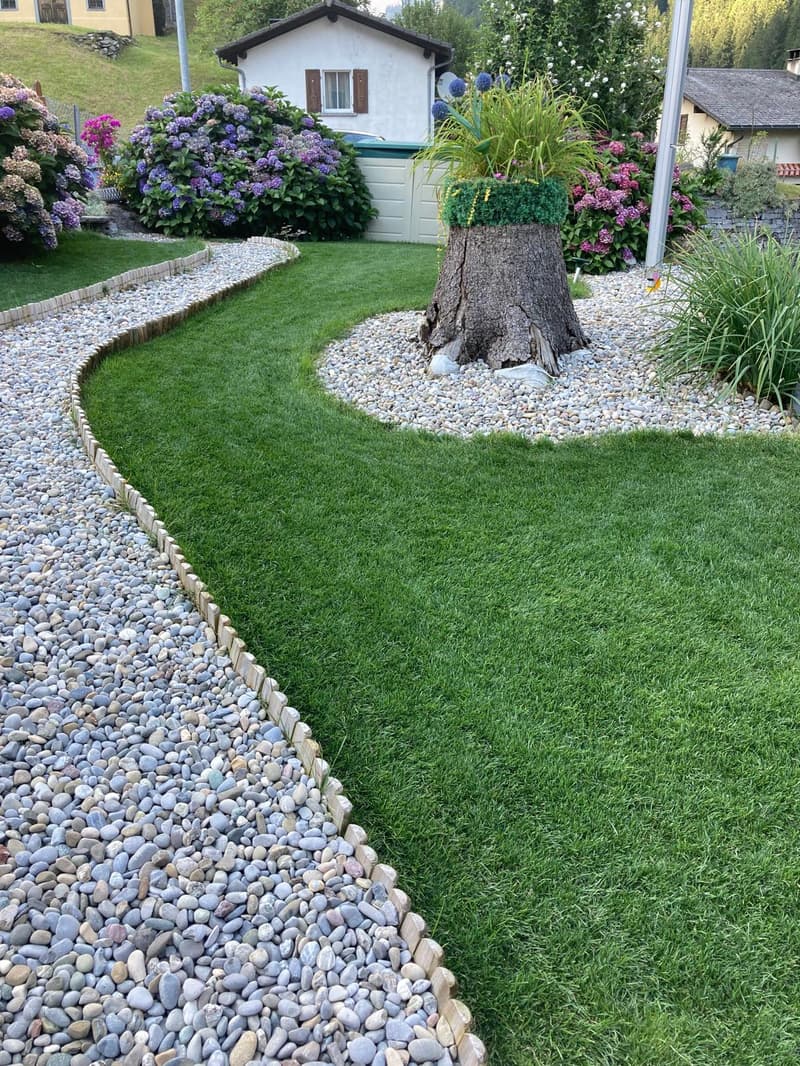 green lawn, gravel path, tree stump with plant, flower beds, houses in background