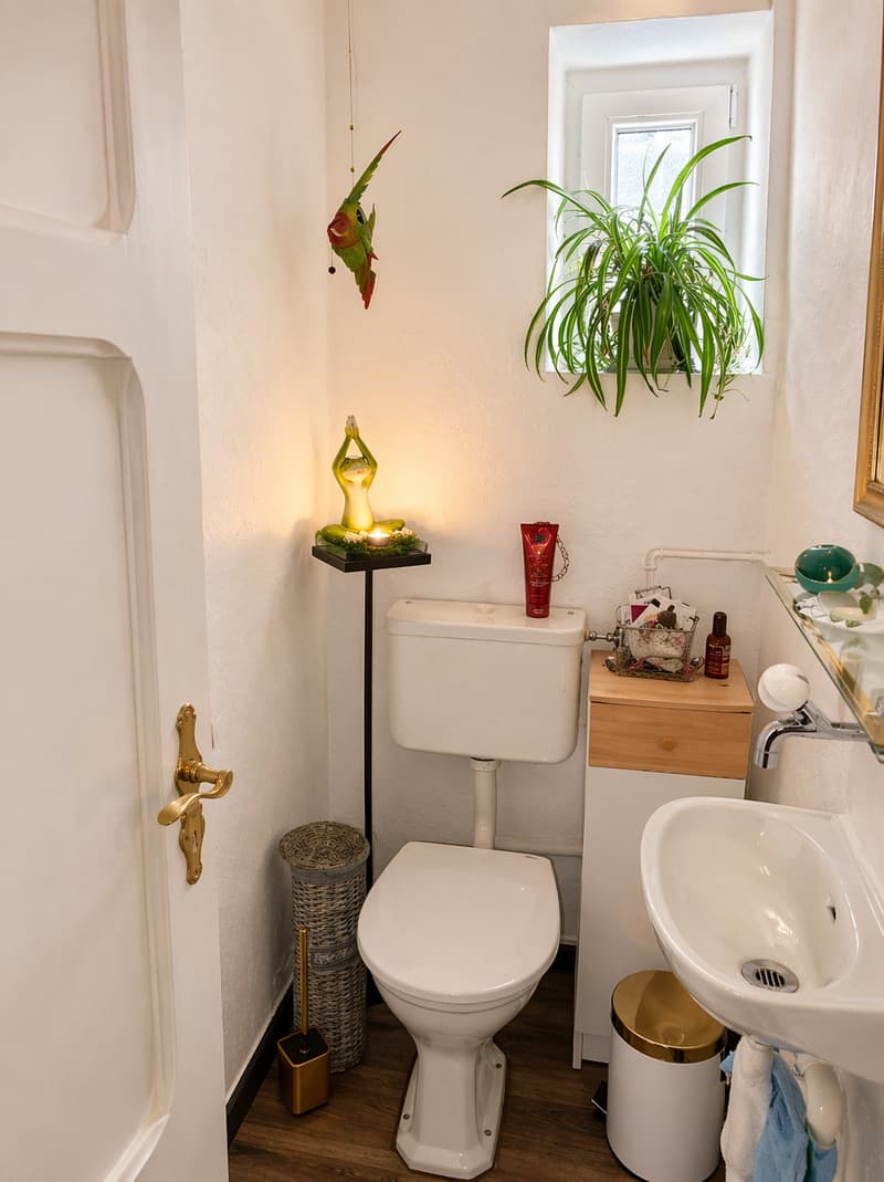 small bathroom with toilet, sink, and a small window with a plant