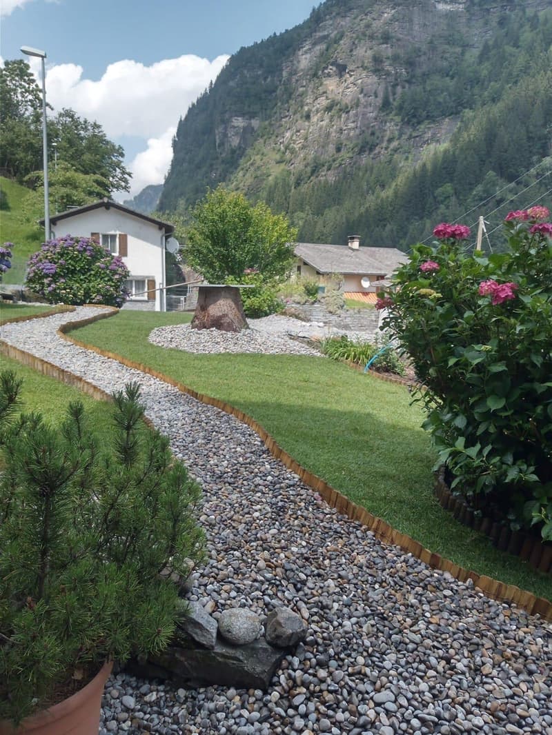 gravel path, green grass, plants, trees, mountain view