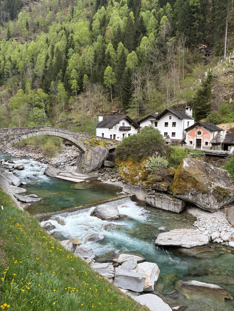 Houses on the hillside, stone bridge over a river, lush green trees, rocky terrain, flowing water