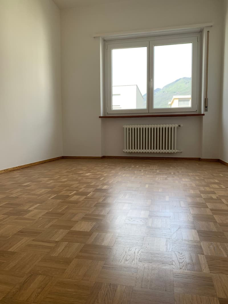 Appartamento spazioso in affitto a buon prezzo (15)