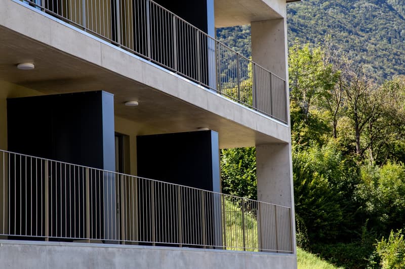Investimento sicuro - stabile a reddito a Roveredo GR (1)