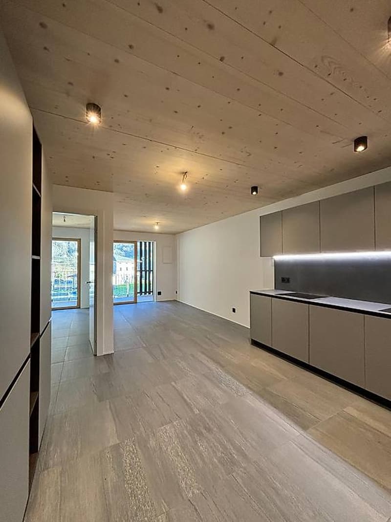 3.5 Residenza LEAA, l'appartamento ideale anche a Reddito! (7)