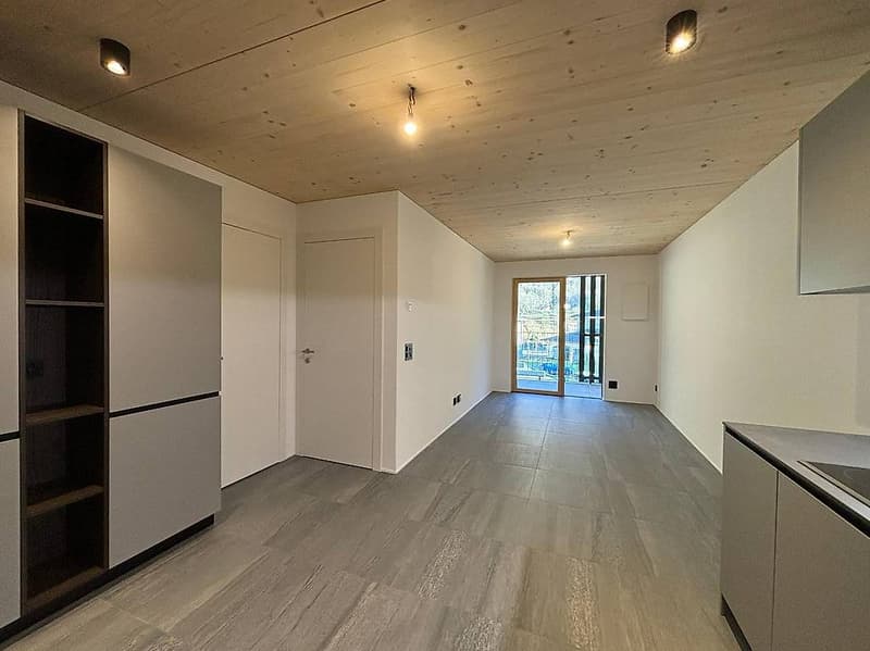 3.5 Residenza LEAA, l'appartamento ideale anche a Reddito! (5)