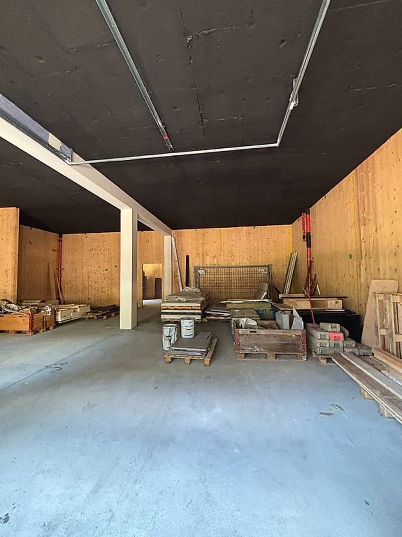 Spazio commerciale per azienda artigianale o magazzino (4)