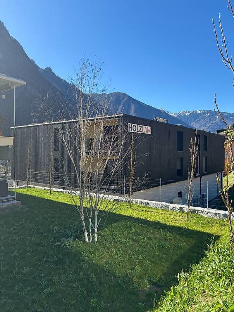 Residenza LEAA, ultimo 4,5 locali a Cama, nuova costruzione! (4)