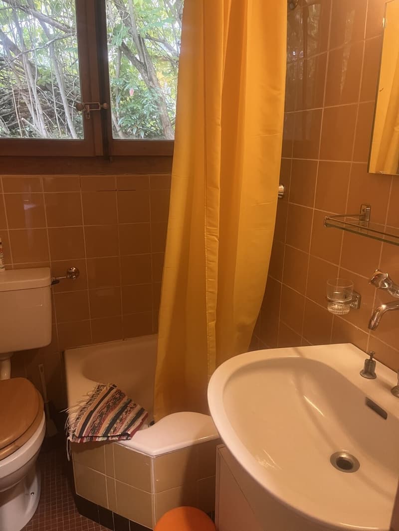 Chalet meublé de 3.5 pièces location estivale et hivernale (6)