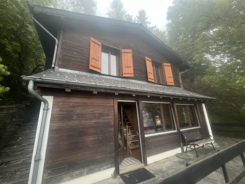 Chalet meublé de 3.5 pièces location estivale et hivernale (1)