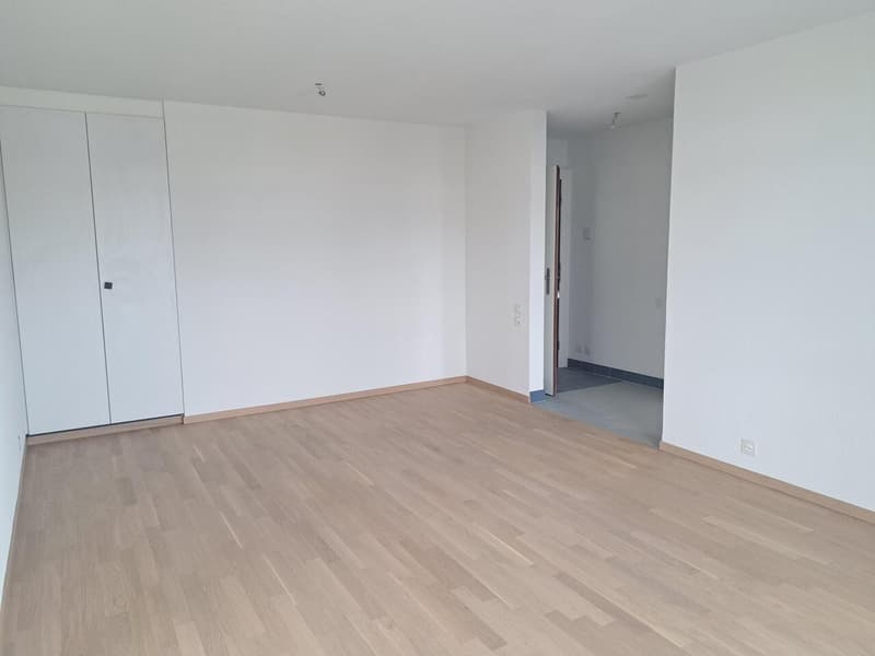 APPARTEMENT RENOVE AVEC BALCON ET ASCENSEUR (5)