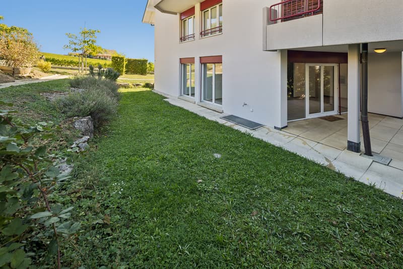 631235-A-backbonephoto-055_HD.jpg