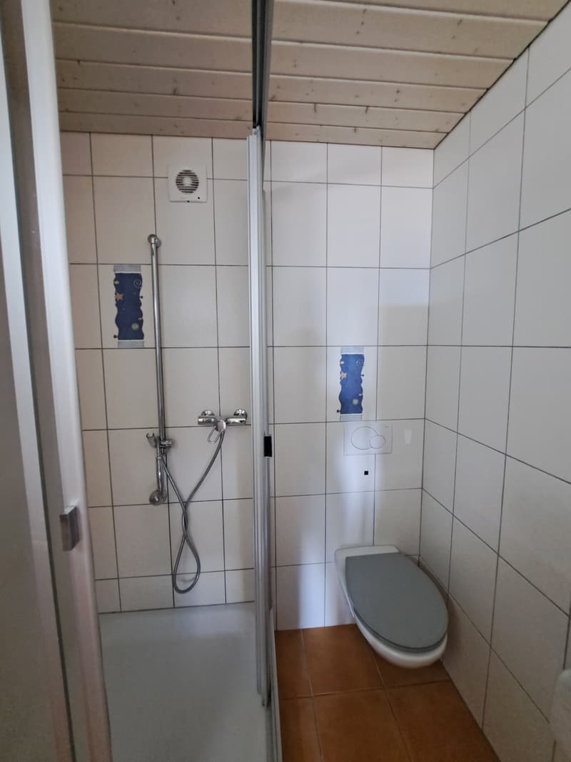 Appartement de 3 pièces à louer à Fontainemelon (11)