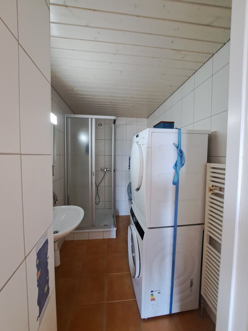 Appartement de 3 pièces à louer à Fontainemelon (10)