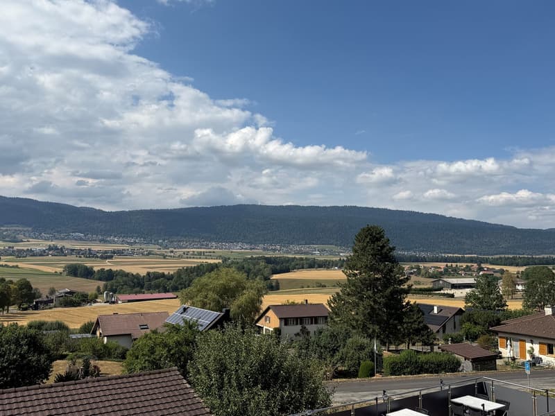 L'Auberge du Chasseur – Café-Restaurant à reprendre à Fenin (4)