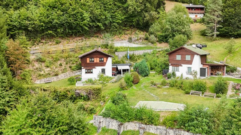 Idyllisches Ferienhaus im Grünen (9)
