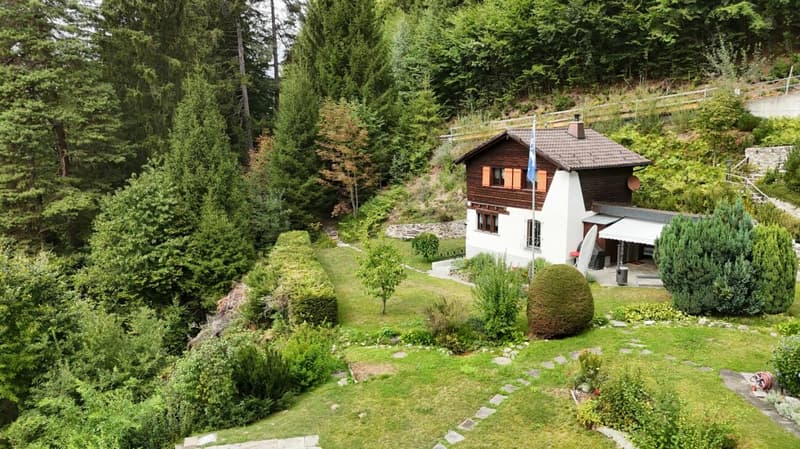 Idyllisches Ferienhaus im Grünen (1)