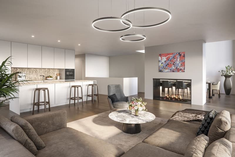 modern interior, fireplace, kitchen, dining area, couches, large round table