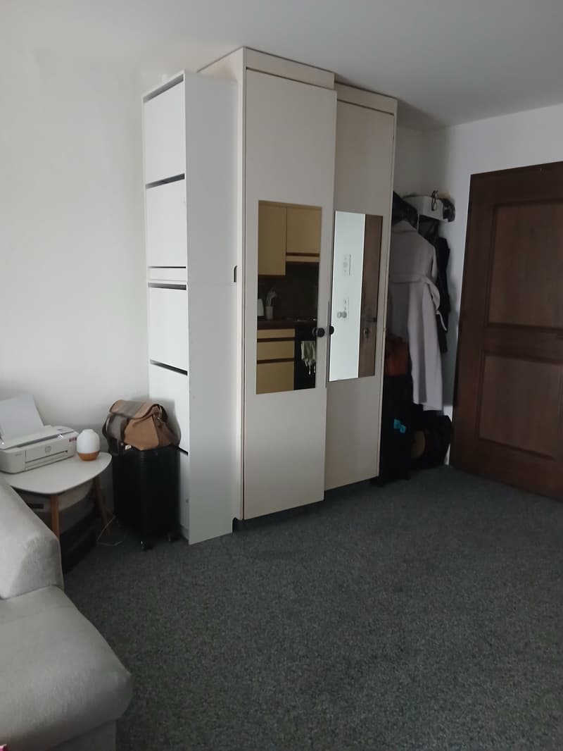 Heimelige Wohnung an zentraler Lage (5)