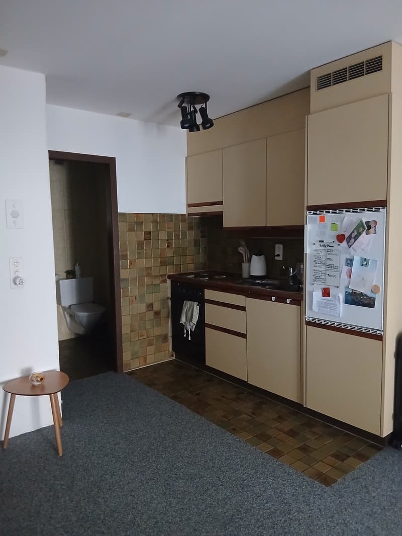 Heimelige Wohnung an zentraler Lage (4)