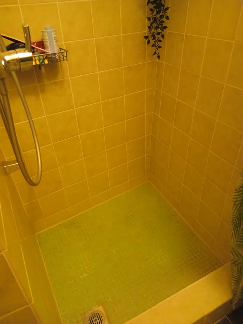 Heimelige Wohnung an zentraler Lage (7)