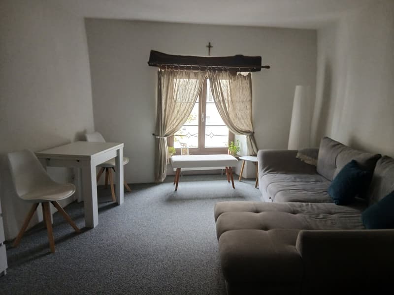 Heimelige Wohnung an zentraler Lage (2)