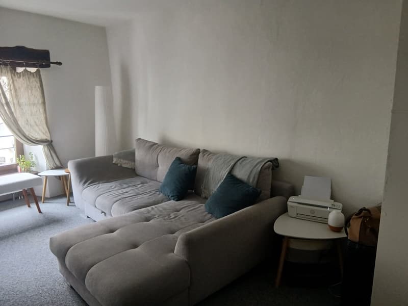 Heimelige Wohnung an zentraler Lage (3)