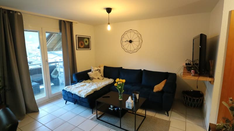 blue sofa, coffee table, TV, picture frame, balcony, view
