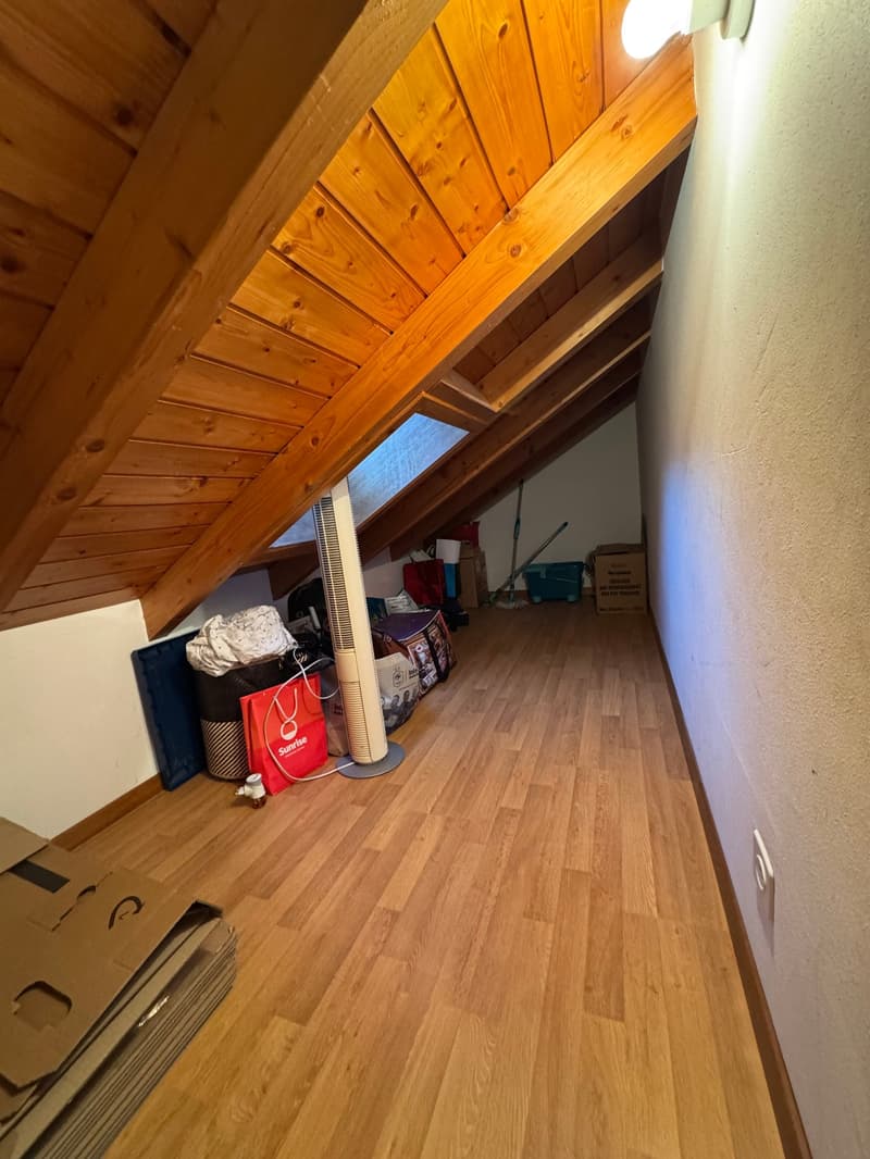 attic room, wooden ceiling, wooden floor, storage boxes, bags, fan, cleaning tools