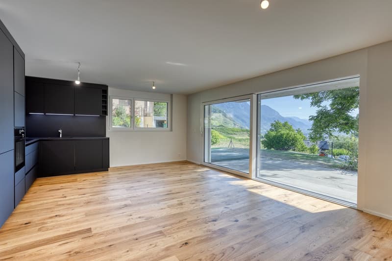 Magnifique appartement 4.5 pièces neuf (5)