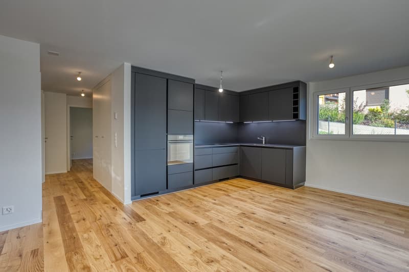 Magnifique appartement 4.5 pièces neuf (4)