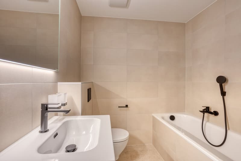 Magnifique appartement 4.5 pièces neuf (10)