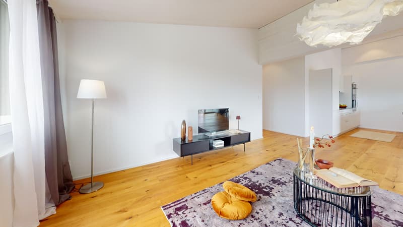 Exklusive 4.5 Zimmer-Dachwohnung (5)
