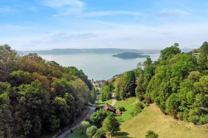 hill with houses, trees, grass, lake, sky