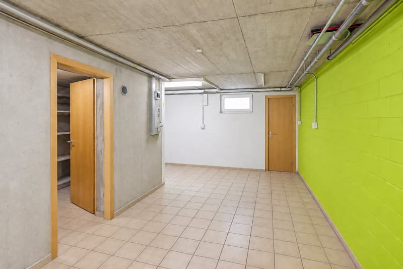 Ihr neues Zuhause in der Natur von Zürich! (18)