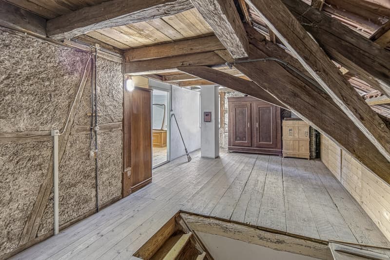 Ihr neues Zuhause mit viel Umschwung! (17)