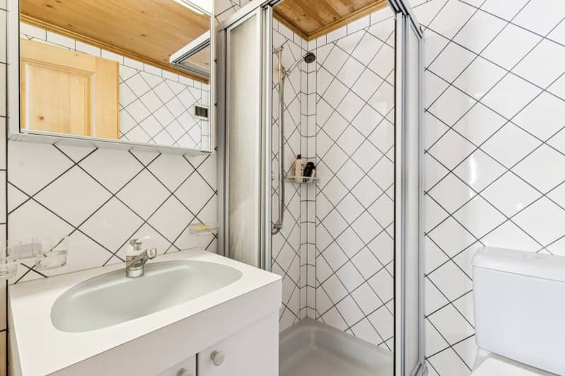 Magnifique Penthouse à Lauenen (11)