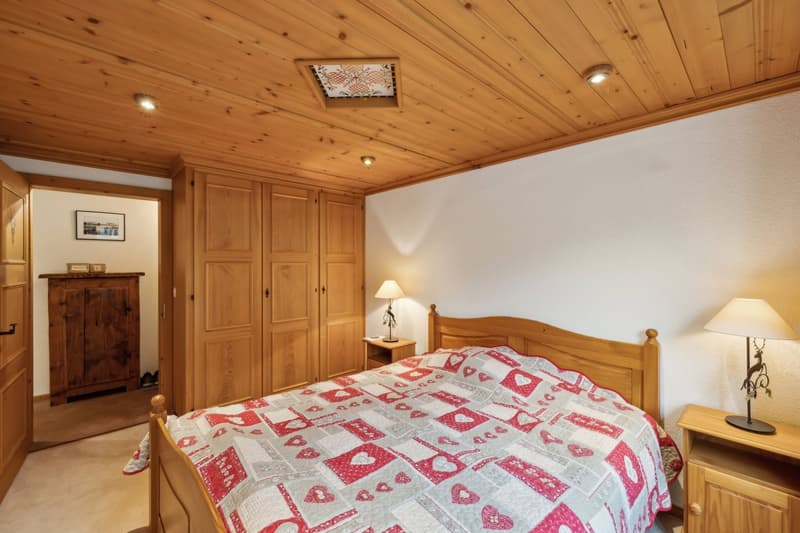 Charmant appartement, 3 chambres à coucher avec vue sur les montagnes (8)