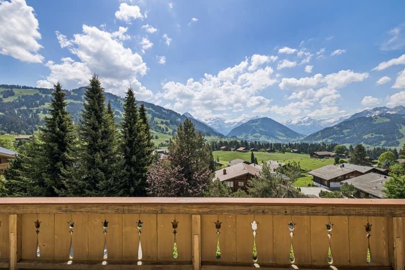 Magnifique chalet avec vue panoramique (1)