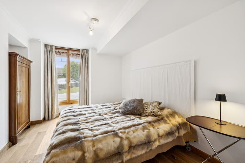 Appartement de charme, une occasion à saisir! (4)
