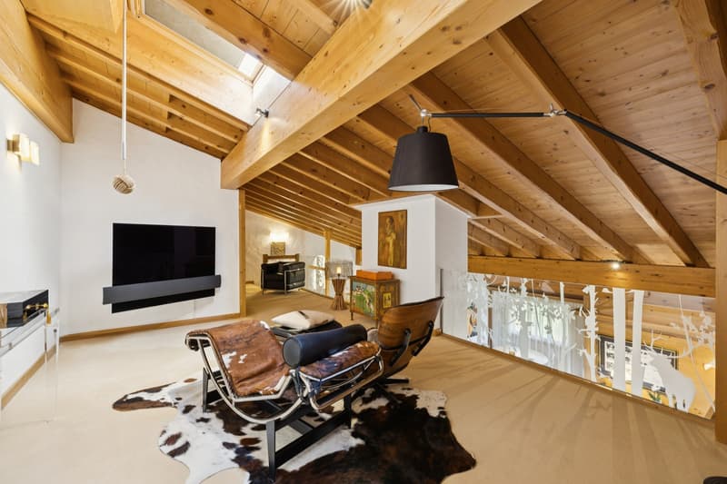 Magnifique Penthouse à Château d'Oex (9)