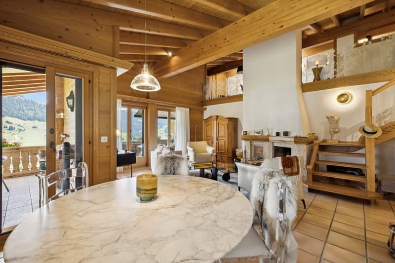 Magnifique Penthouse à Château d'Oex (10)