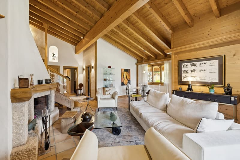 Magnifique Penthouse à Château d'Oex (3)