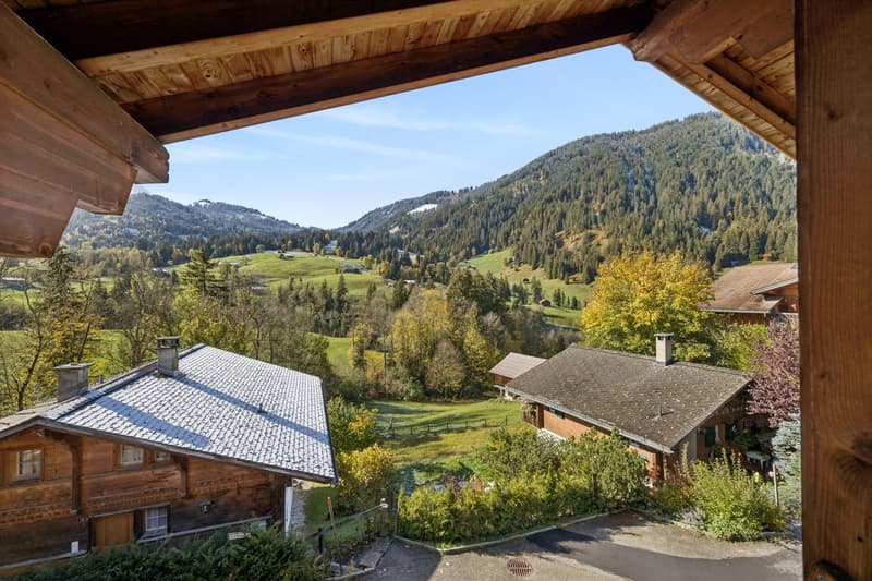 Une adresse privilégiée au coeur du village de Lauenen (11)