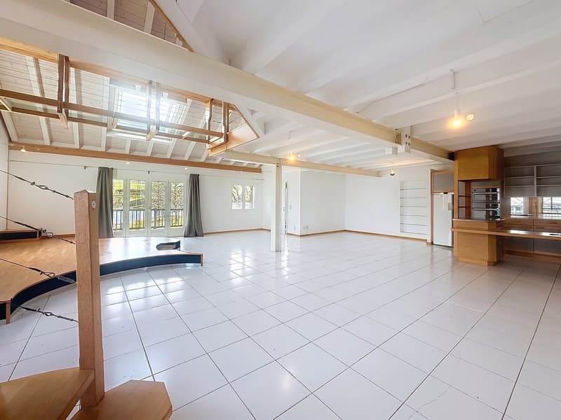 Vivez autrement : Loft en duplex à Villaz-St-Pierre (Fuyens) (2)